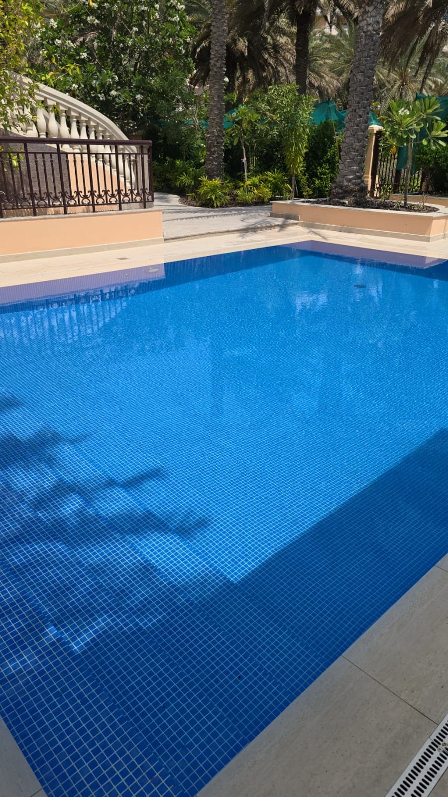 landscape and pool 5