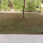 landscape and pool 7
